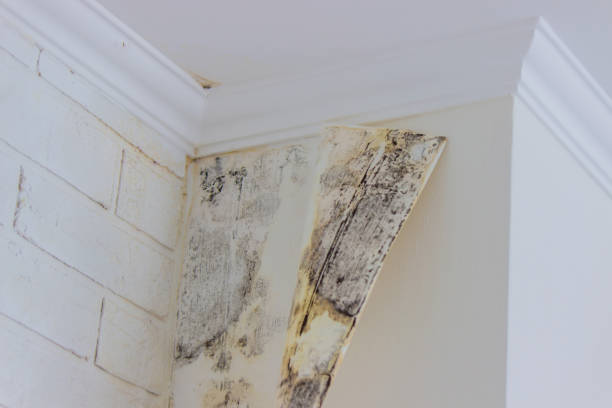 Professional Water damage restoration in Reading, PA